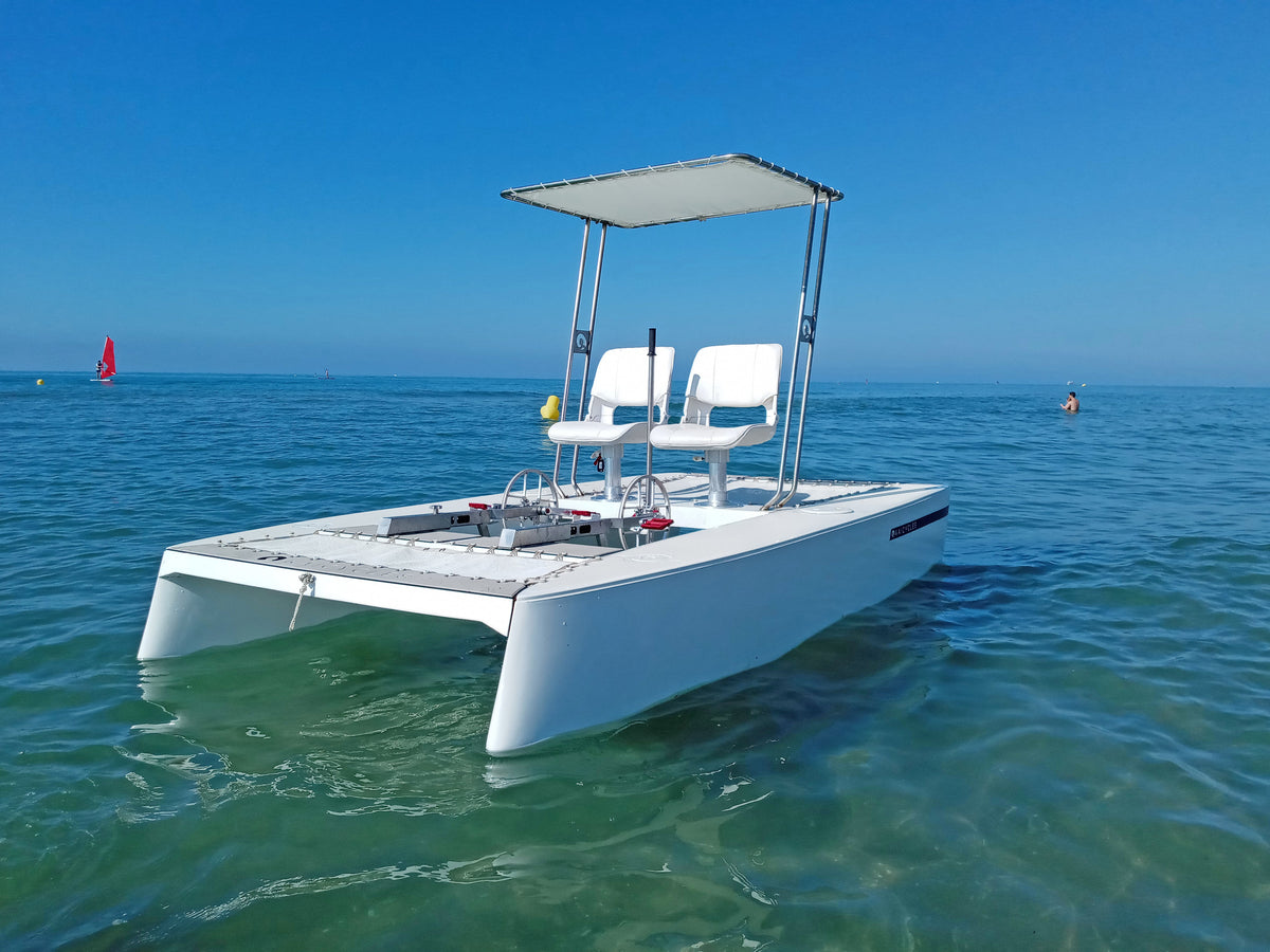 ZEN Water Bike (Made in EU), photo 6 of 10