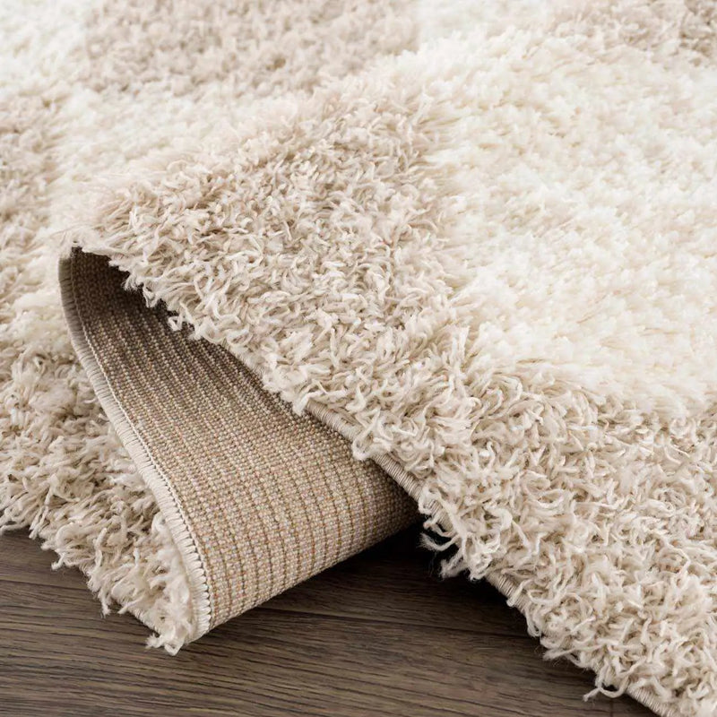 Zahur Cream & Beige Diamond Area Rug by Hauteloom