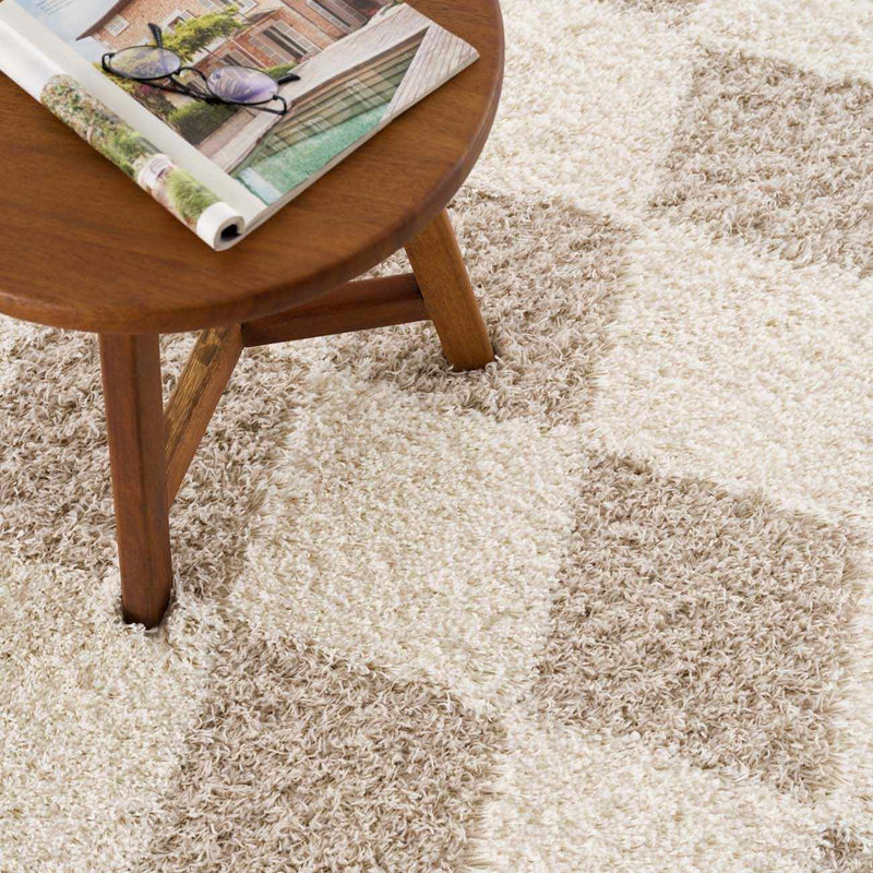 Zahur Cream & Beige Diamond Area Rug by Hauteloom