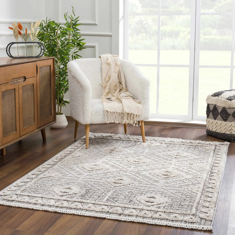 Agoo High-Low Pile Rustic Rug by Boutique Rugs