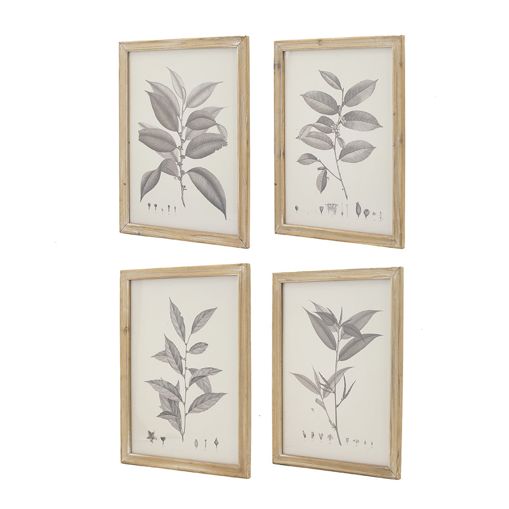 Botanical Wall Décor Set of 4 with Leaf Illustrations - Black & White, photo 3 of 10