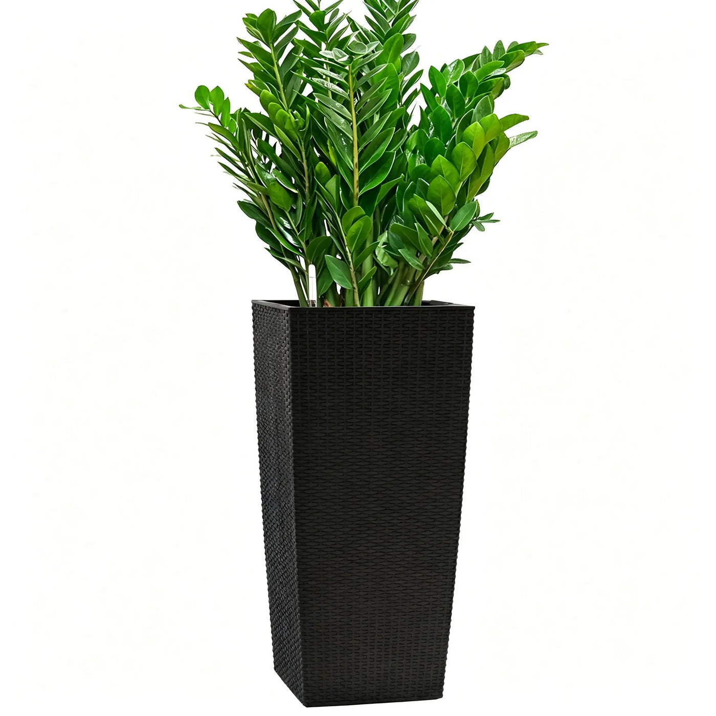Indoor Outdoor Planter With Automatic Watering System by HouseOfZazla