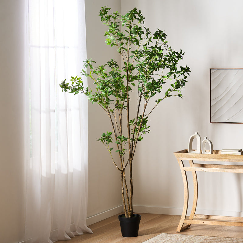 240cm Artificial Pieris Tree with Lush Greenery - Green, photo 3 of 10