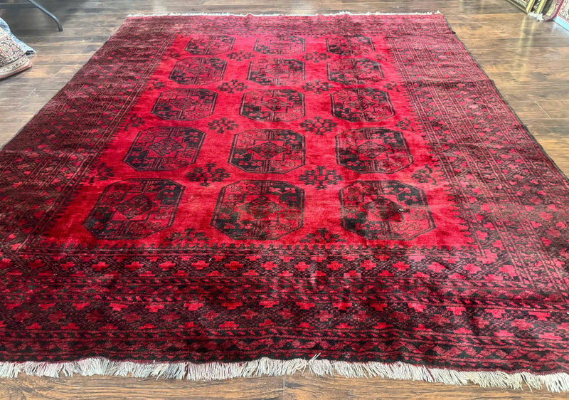 Afghan Turkoman Rug 9x10, Red Beshir Carpet, Tribal, Wool, Antique by Jewel Rugs