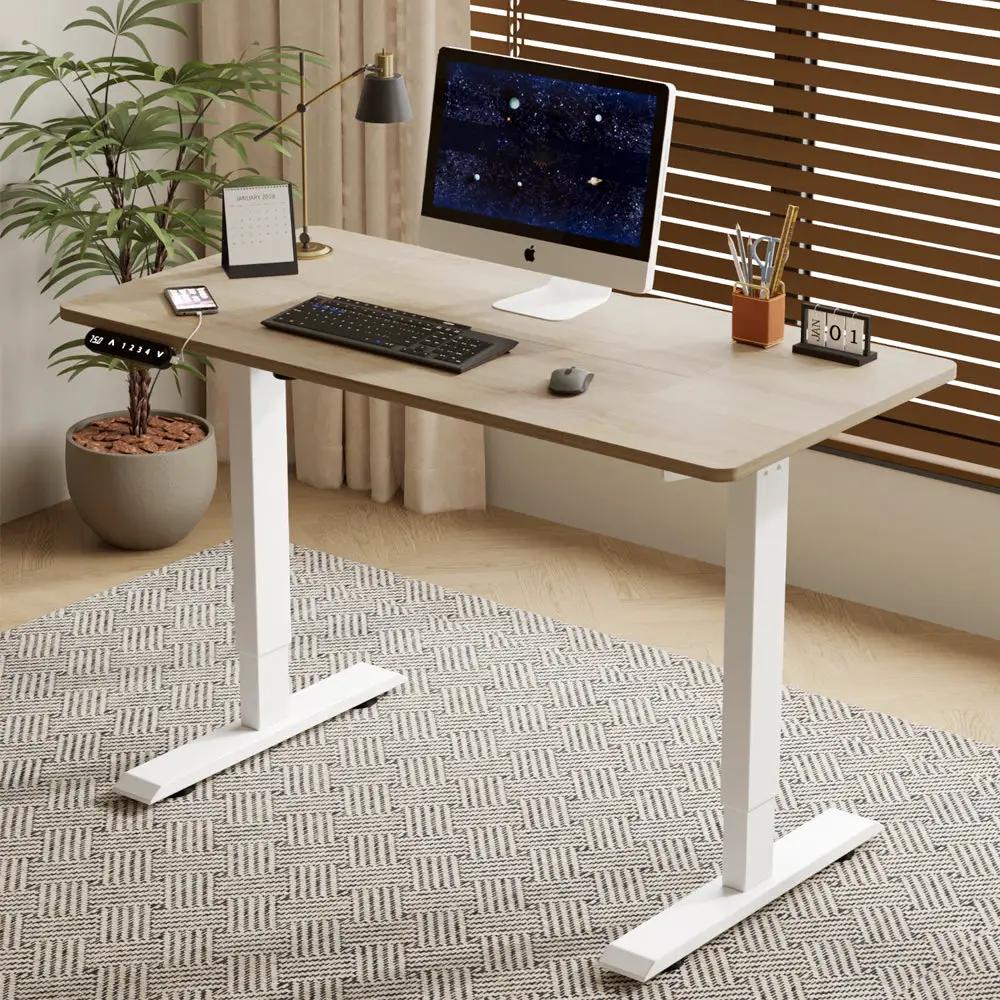 55"×24" Light Electric Standing Desk by HouseOfZazla