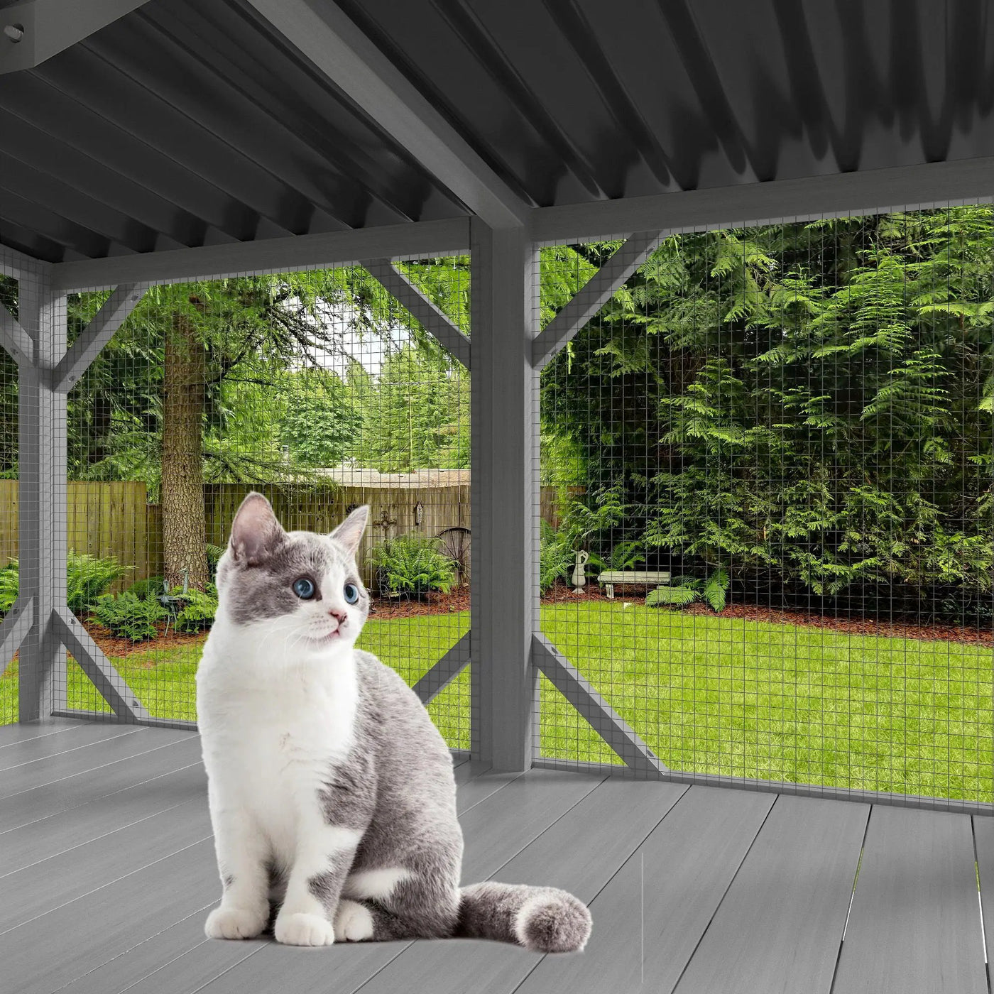 Cat Window Box by HouseOfZazla