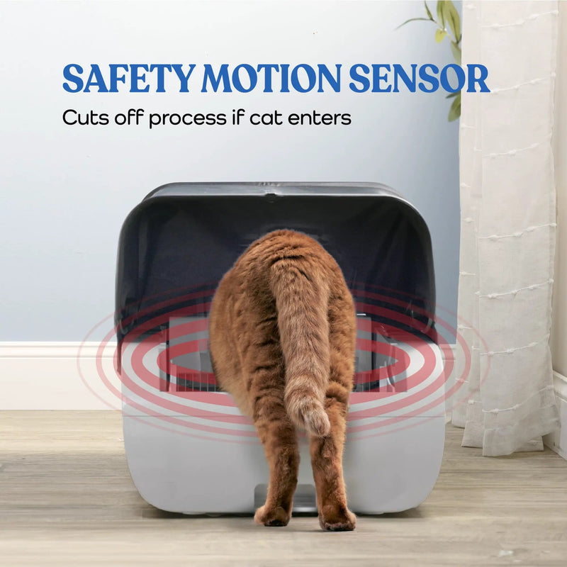 Smart Cat Litter Box With Wide Opening by HouseOfZazla