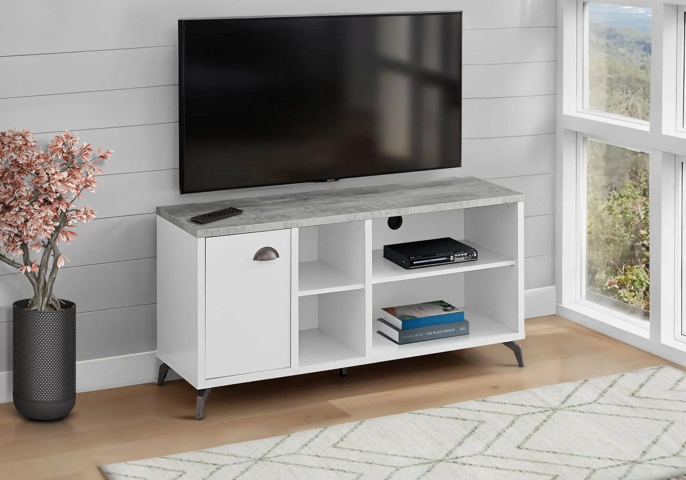 Contemporary TV Stand Console with Storage Cabinet by HouseOfZazla