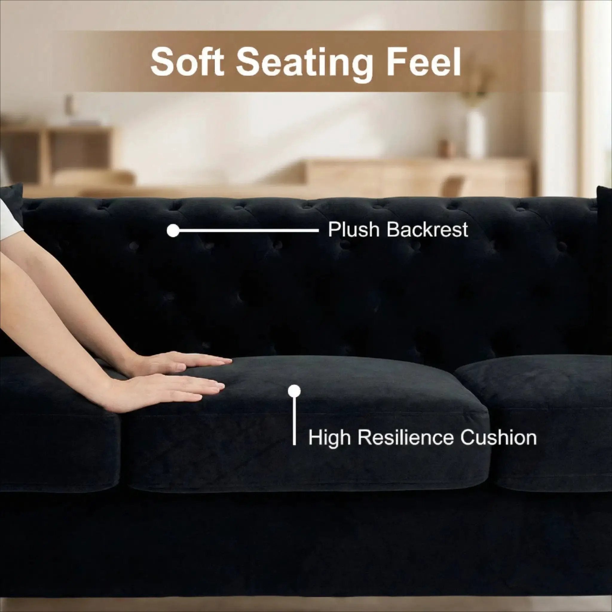 FX-P83-BK4 Sofa with 2 Pillows by HouseOfZazla