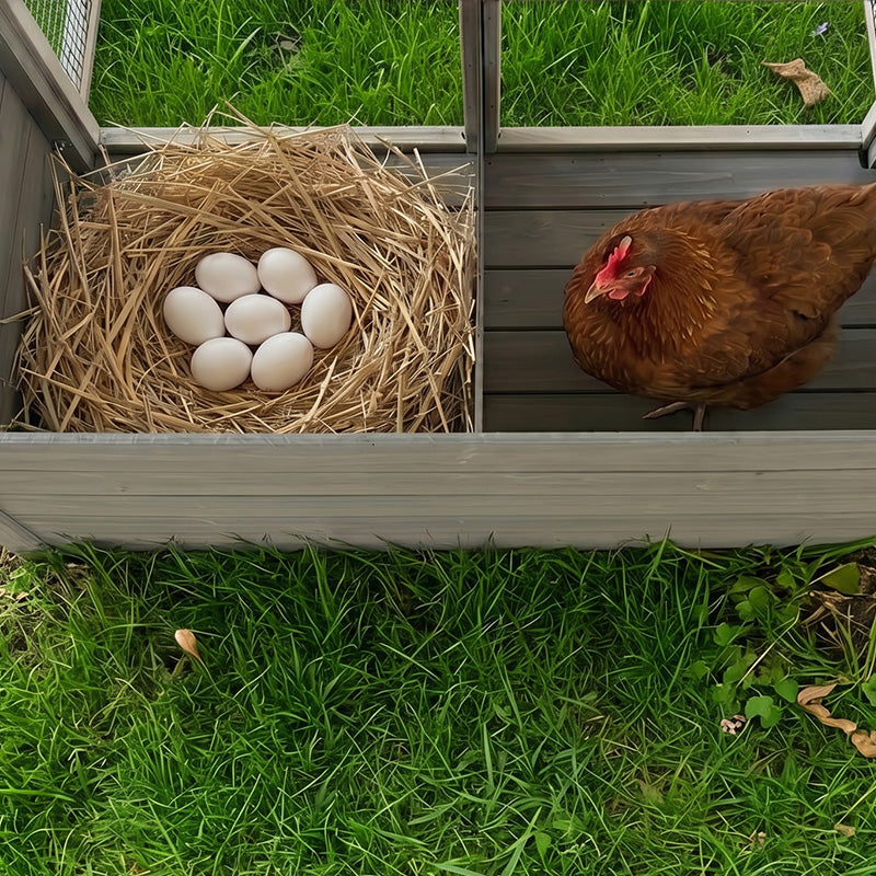 Large Chicken Coop with 20.93 Sq Ft Run by HouseOfZazla