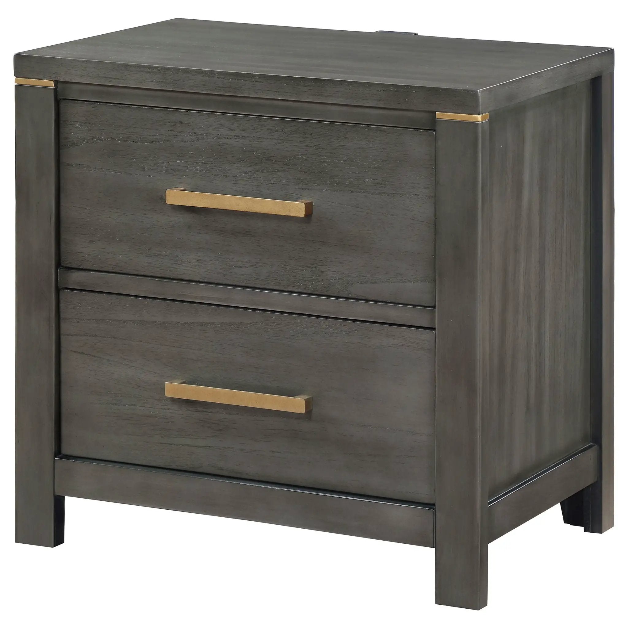 Herndon - 2 Drawer Nightstand With USB Port, Storage Furniture - Gray by HouseOfZazla