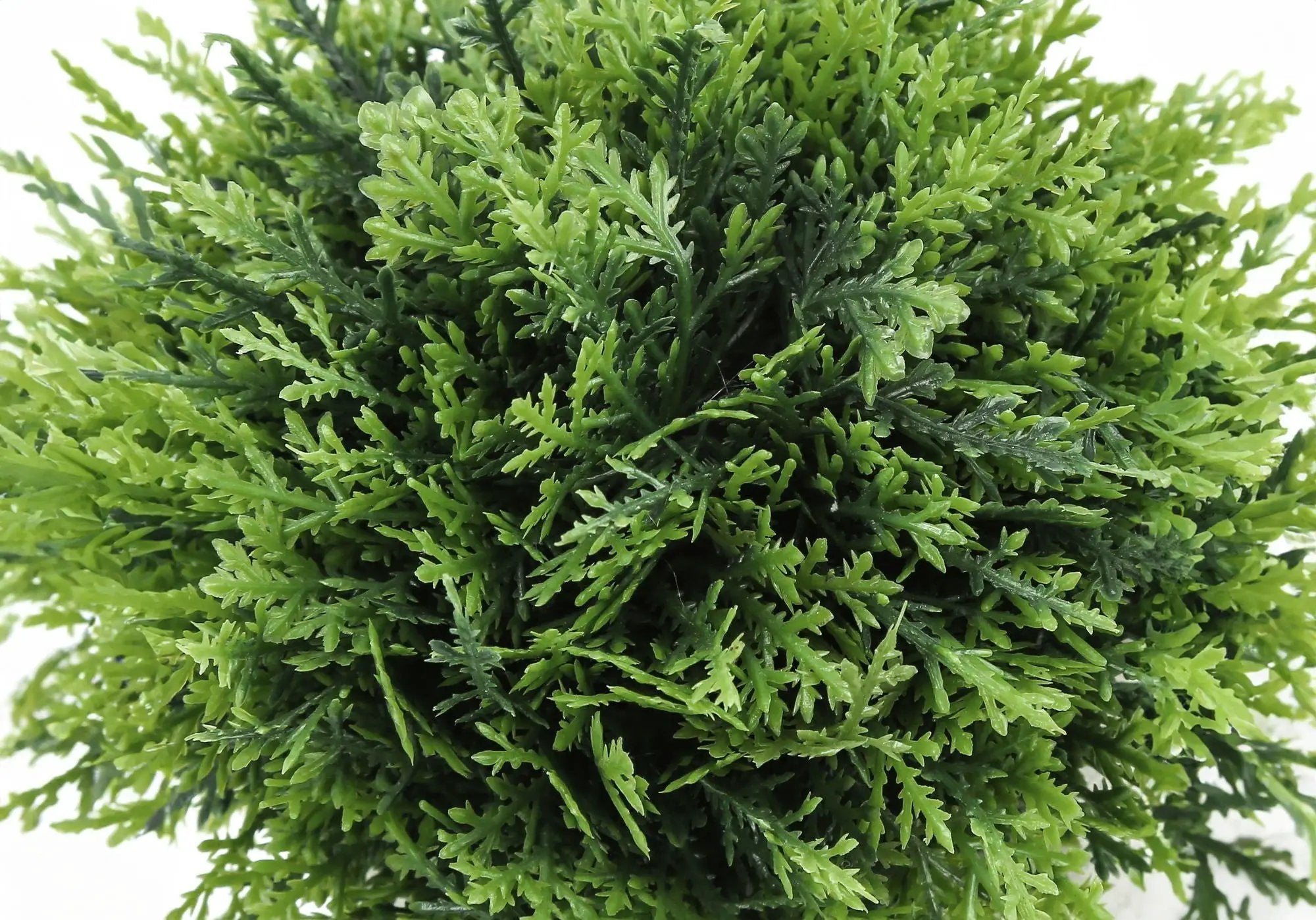 5" Tall Artificial Plant Grass - Set of 3 by HouseOfZazla