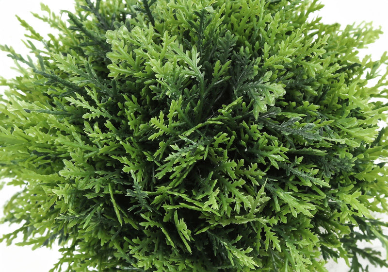 5" Tall Artificial Grass Plant Set of 3 with Realistic Plastic Foliage – Dark Green, photo 4 of 4