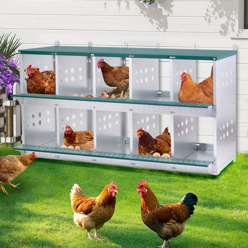 10-Bay Metal Nest Box for Hens and Ducks, photo 7 of 7