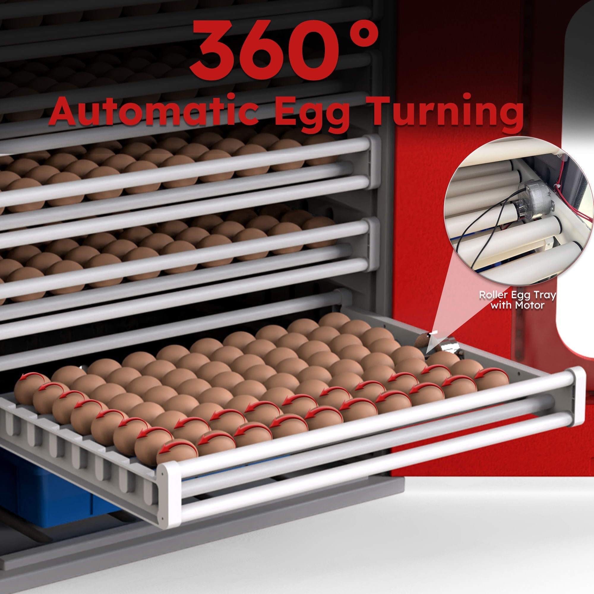 Commercial Egg Digital Cabinet Incubator With Auto Temperature & Humidity Control by HouseOfZazla