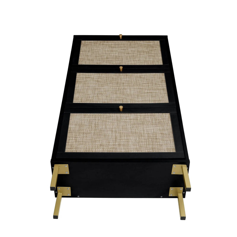 Modern Rattan 3 Door Shoe Rack Cabinet for Entryway by HouseOfZazla