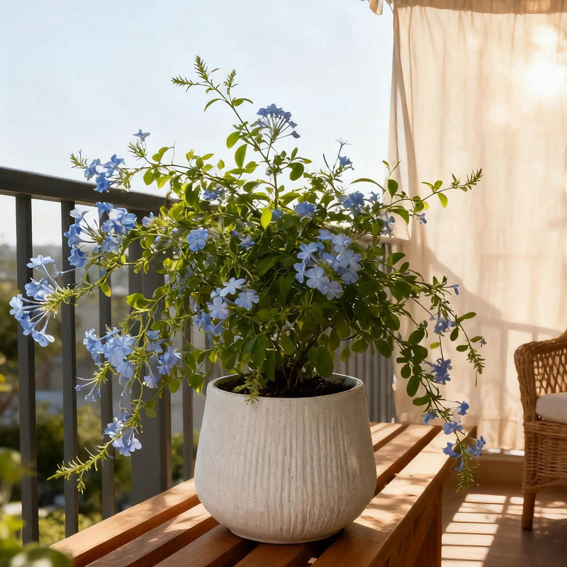 Large Round Planters for Indoor and Outdoor Use by HouseOfZazla