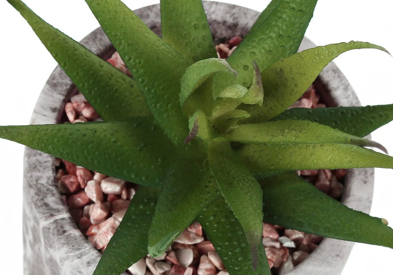 6" Tall, Artificial Plant, Succulent, Indoor, Faux, Fake, Table, Greenery, Potted, Decorative (Set of 2) - Green / Gray by Unique Piece Furniture