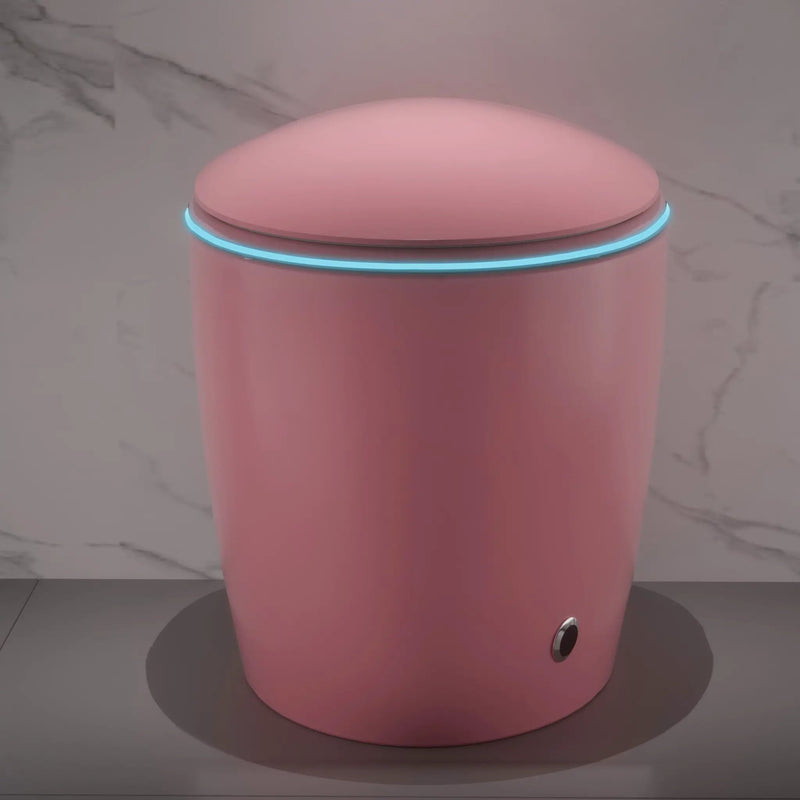 Unique Smart Toilet with Bidet Built-In by HouseOfZazla
