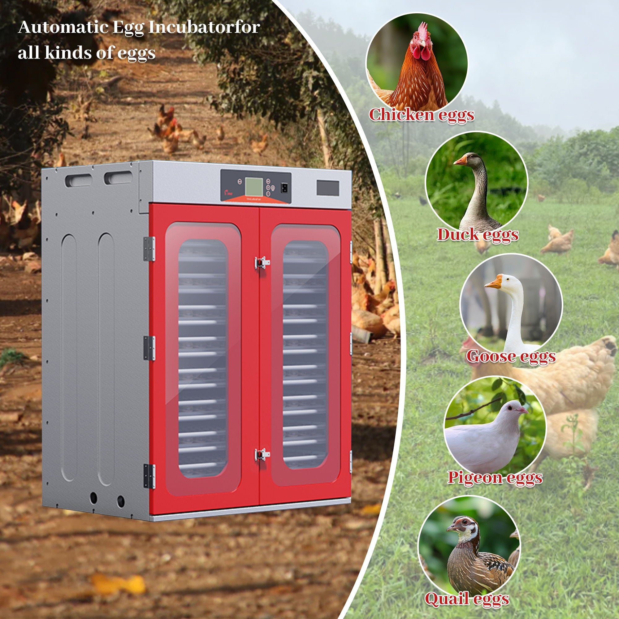 Commercial Egg Digital Cabinet Incubator With Auto Temperature & Humidity Control by HouseOfZazla