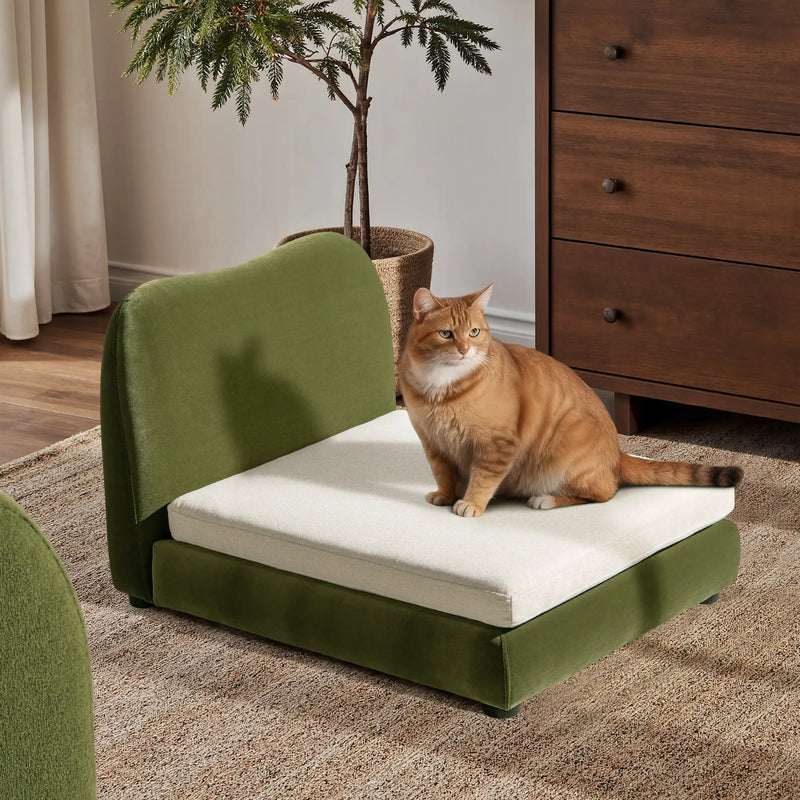 Roman Upholstered Modern Pet Bed by HouseOfZazla