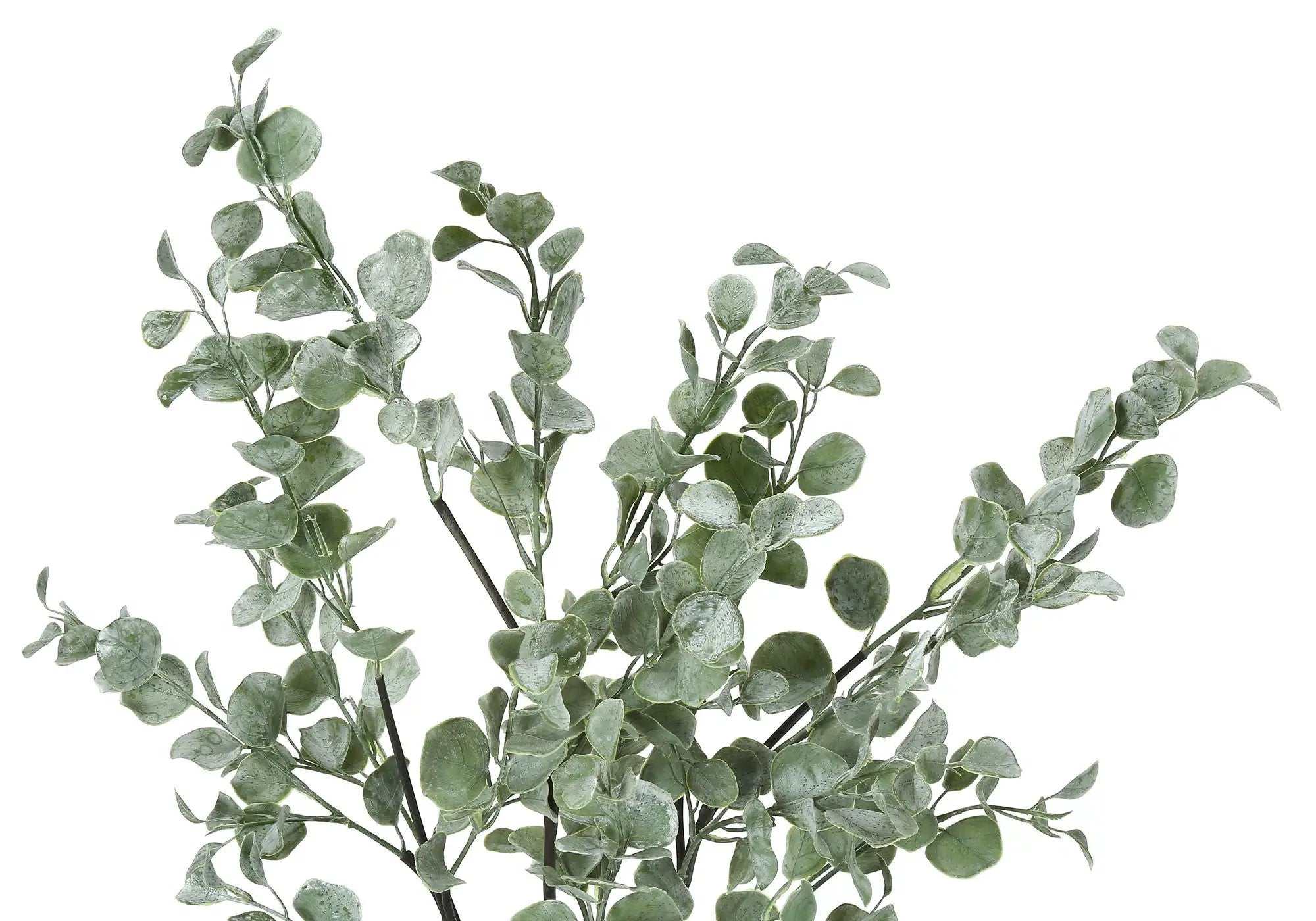 35" Tall, Artificial Plant, Eucalyptus Tree, Indoor, Faux, Fake, Floor, Greenery, Potted, Decorative - Green / Black by Unique Piece Furniture