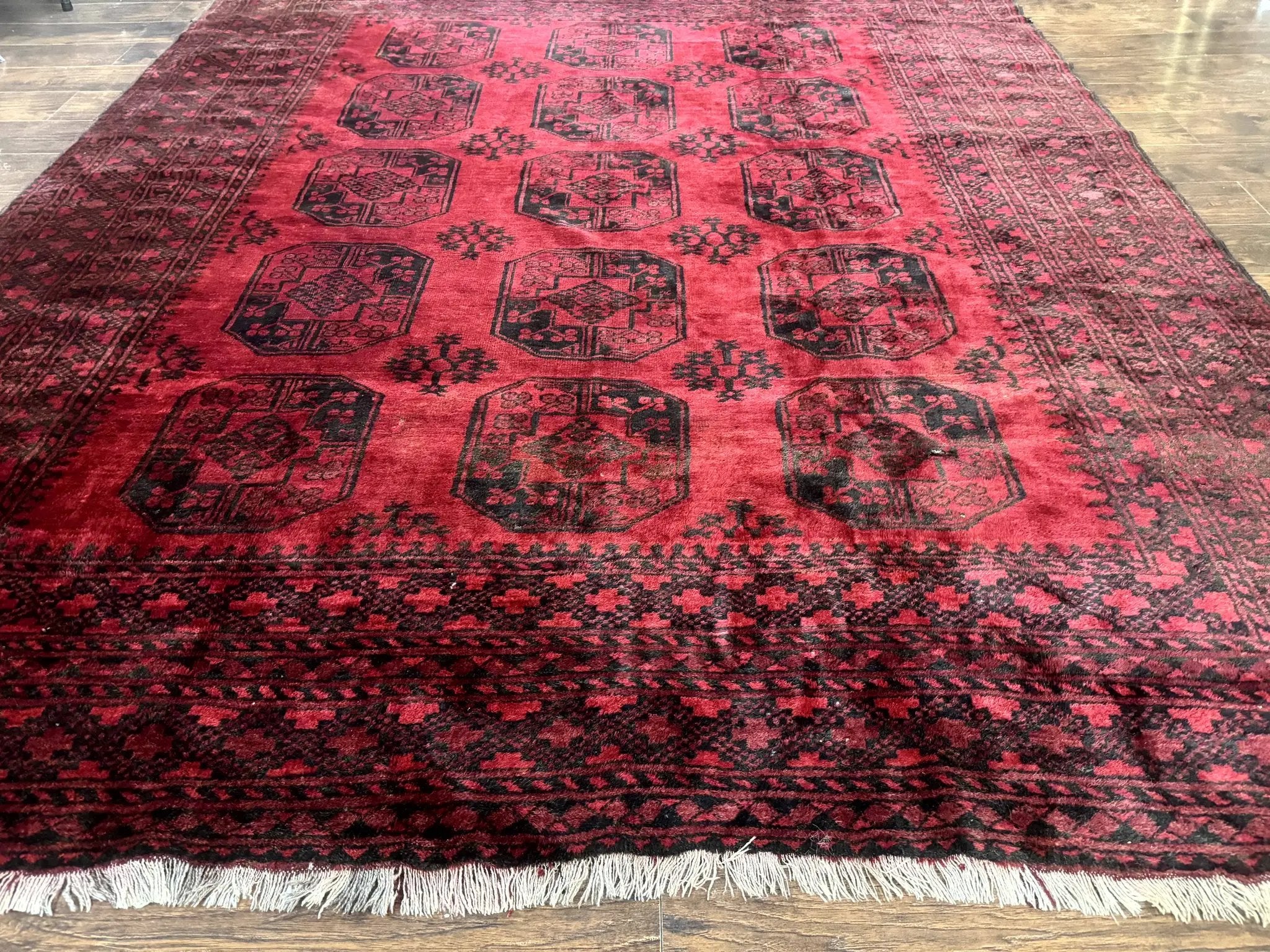 Afghan Turkoman Rug 9x10, Red Beshir Carpet, Tribal, Wool, Antique by Jewel Rugs