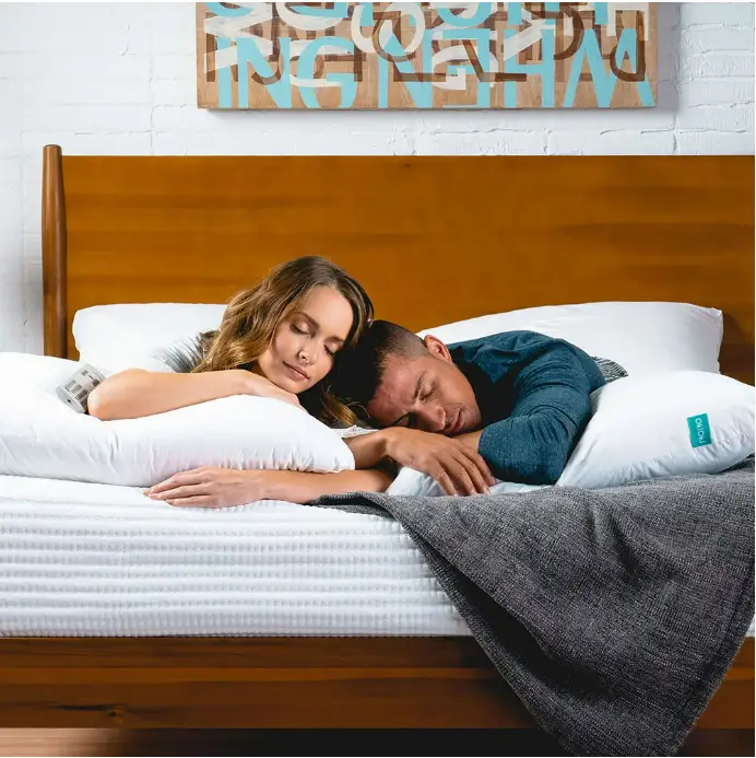 Premium Down-Alternative Bed Pillow by HouseOfZazla
