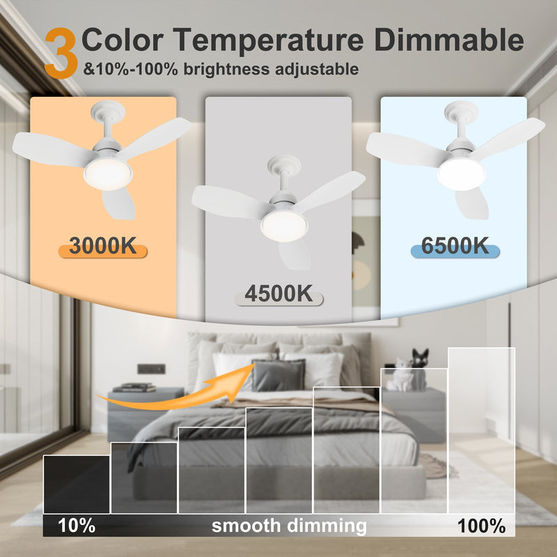 24.4" Modern Ceiling Fan with Light by HouseOfZazla
