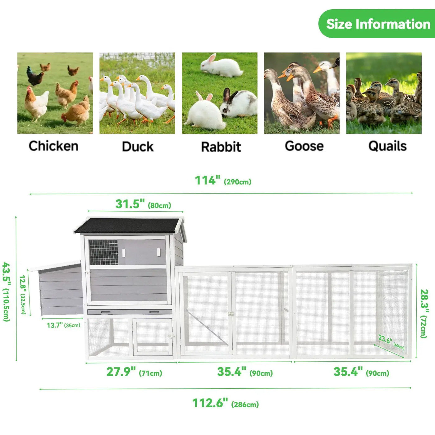 Chicken Coop With Run And Nesting Box by HouseOfZazla