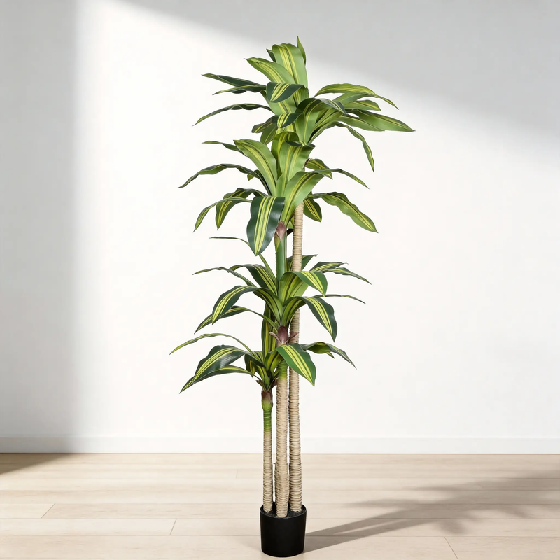 6' Artificial Dracaena Tree by HouseOfZazla