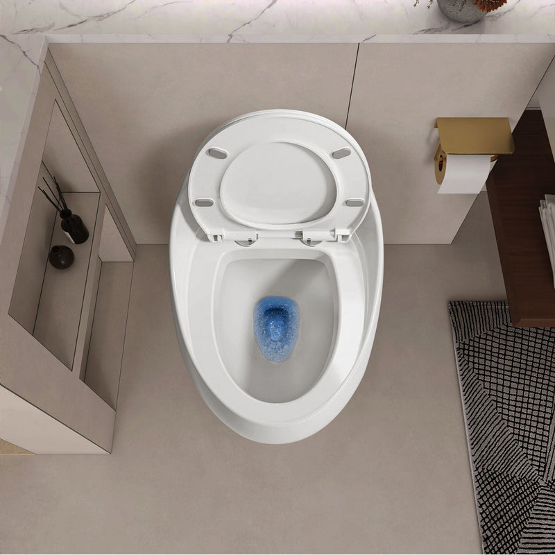 Modern Egg Shape Toilet 1.28 Gpf Single Flush Ceramic by HouseOfZazla