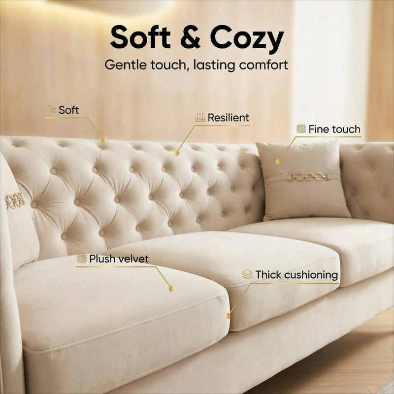 Contemporary Velvet Sofa With 2 Pillows by HouseOfZazla