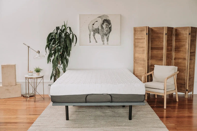 8" Gel Memory Foam Mattress by HouseOfZazla