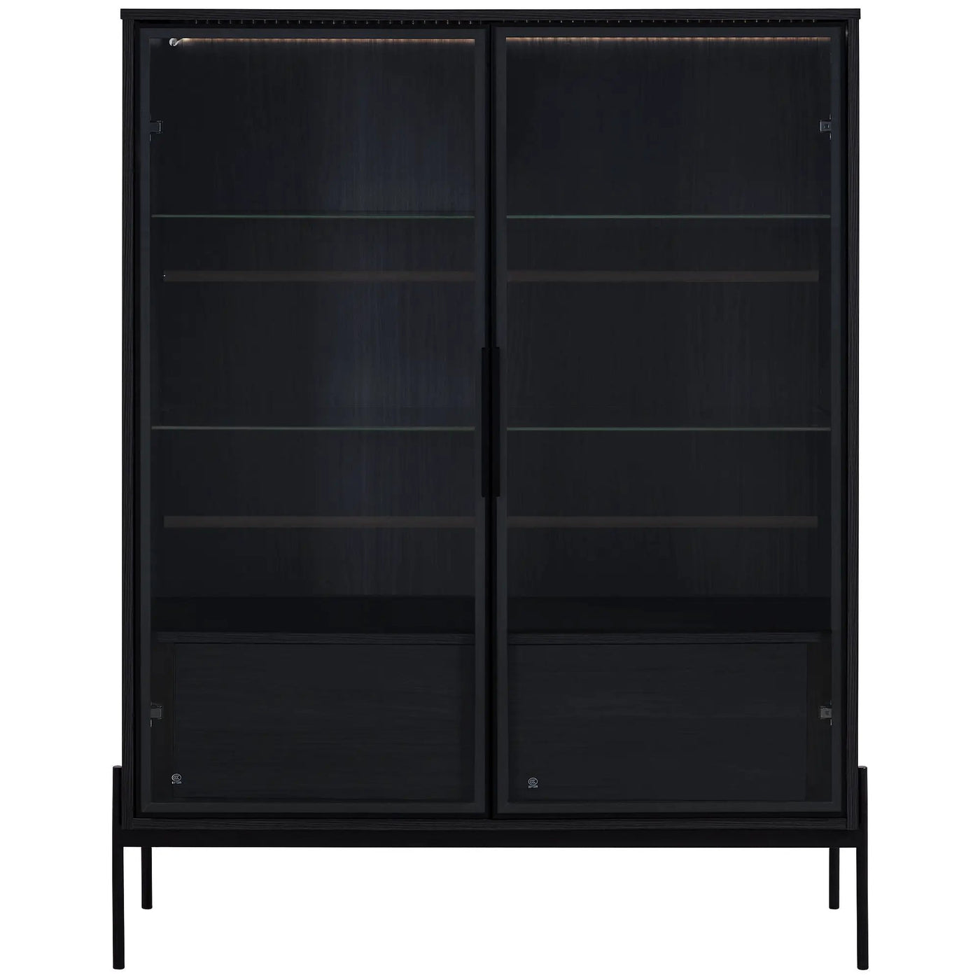 Modern Minimalist Style LED Curio Cabinet With Tempered Glass Door, Metal Legs by HouseOfZazla