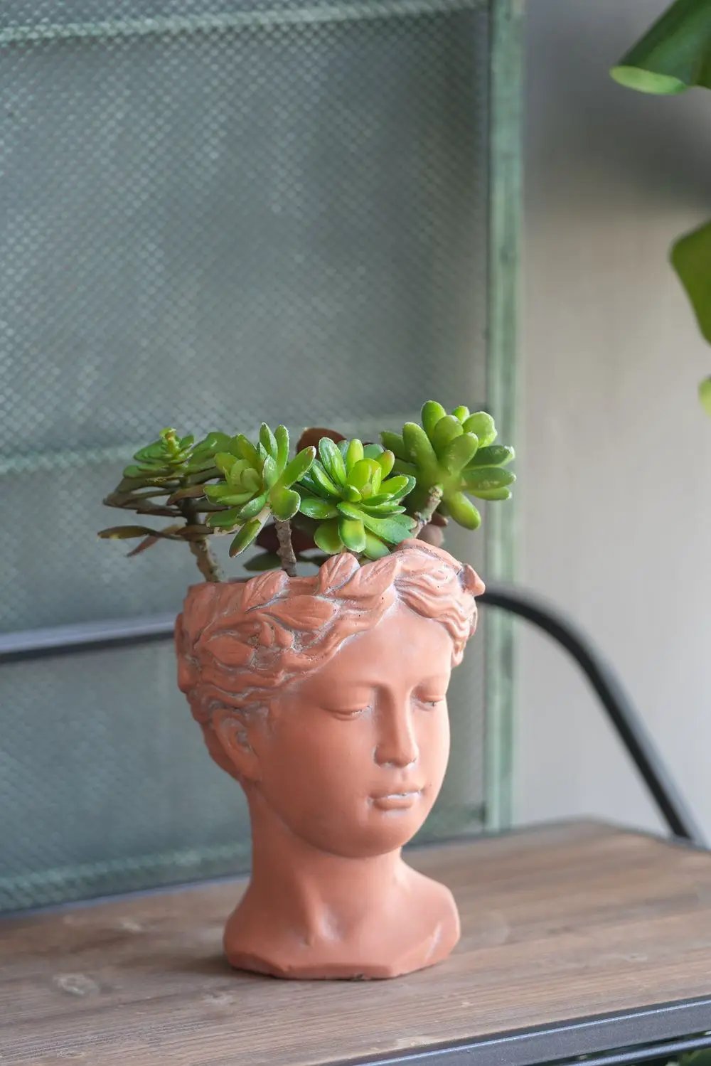 D6X9" Visage Head Bust Planter - Brown by HouseOfZazla