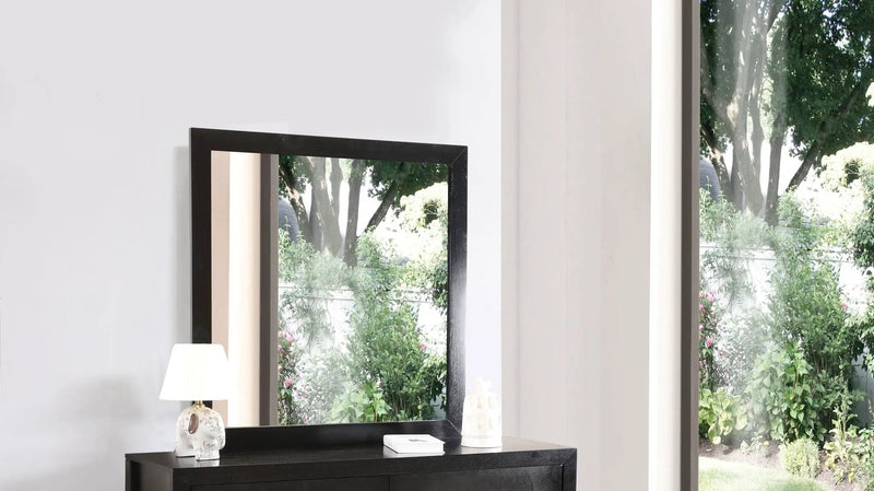 Burlington - Modern Design Transitional Wall Mirror by Unique Piece Furniture