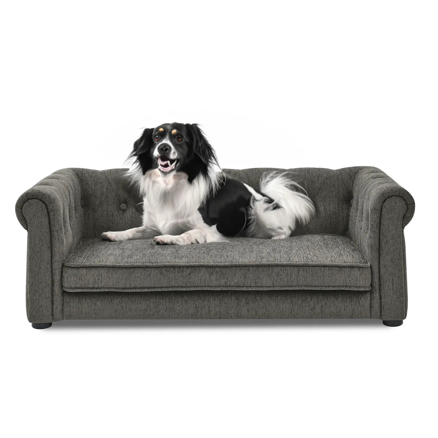 Modern Elegant Rectangle Pet Bed, Durable Elevated Dog Sofa by HouseOfZazla