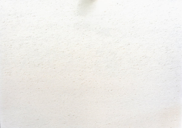 Absolute White Textured Marble Slab Random