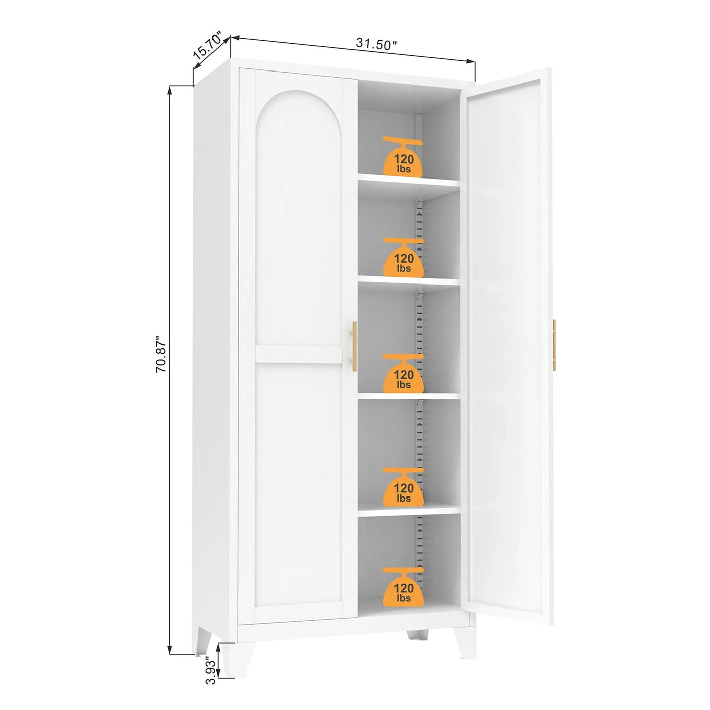 Shapely Doors Cabinet, Metal Storage Cabinet With Doors And Adjustable Shelves by HouseOfZazla