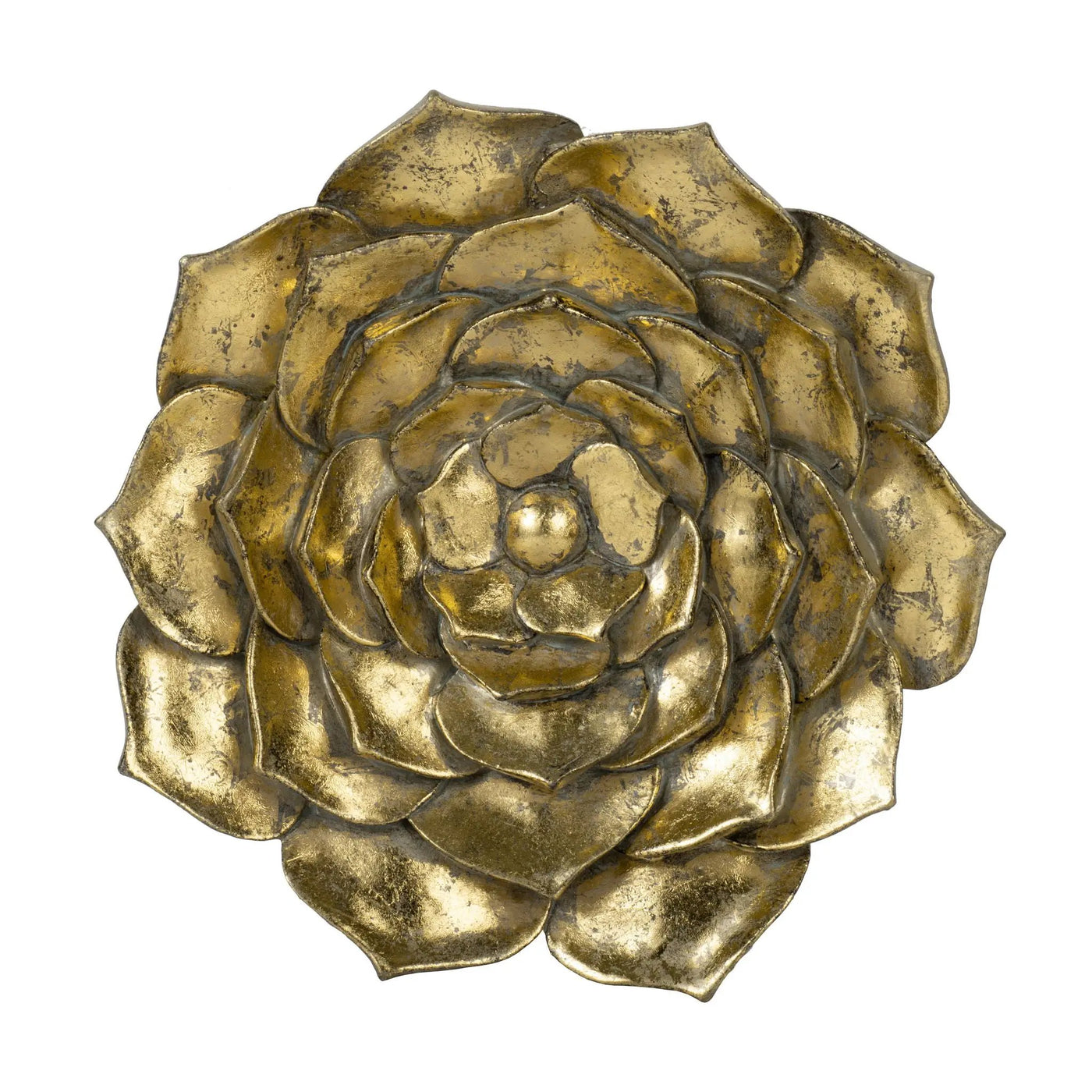 Succulent Wall Plaque Resin by HouseOfZazla