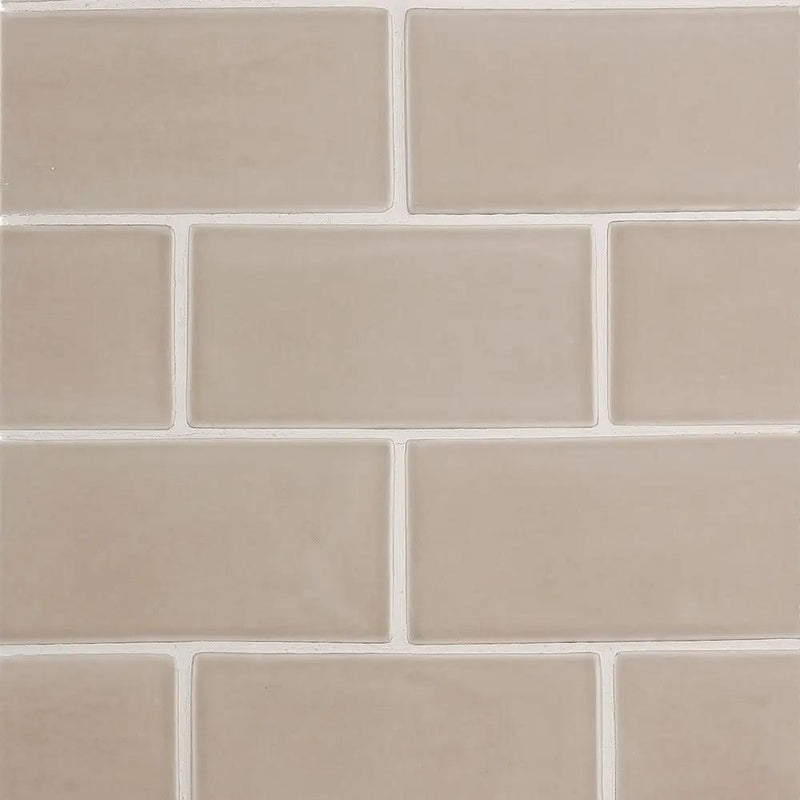 Acorn Glossy Subway Ceramic Tiles 3x6 closeup 1
