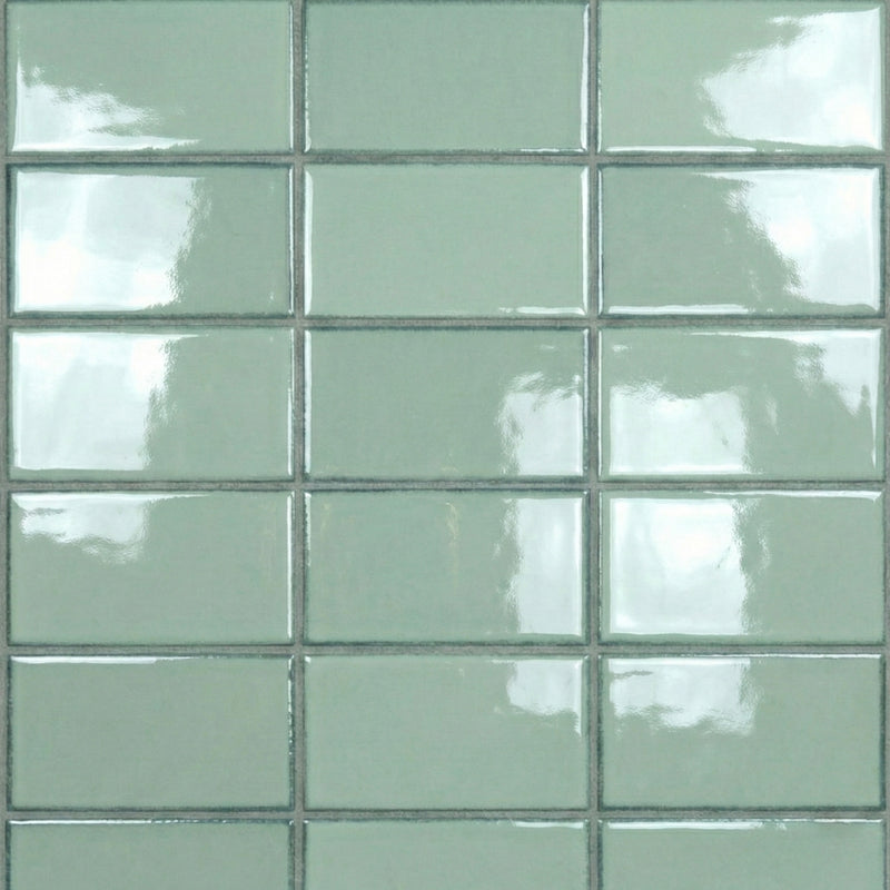 Acquamarina Glossy Ceramic Tiles 4x8 Ceramic Glossy 4x8 Tiles