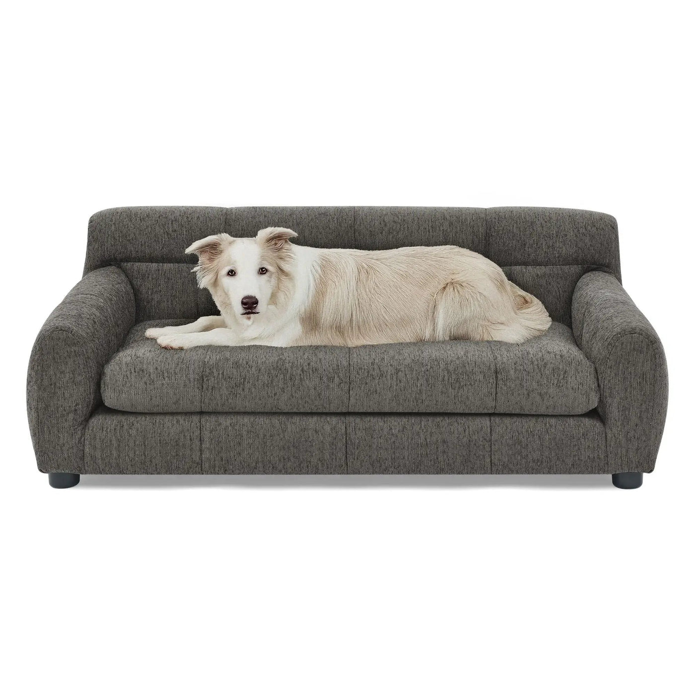 Modern Pet Sofa With Backrest And Armrests by HouseOfZazla