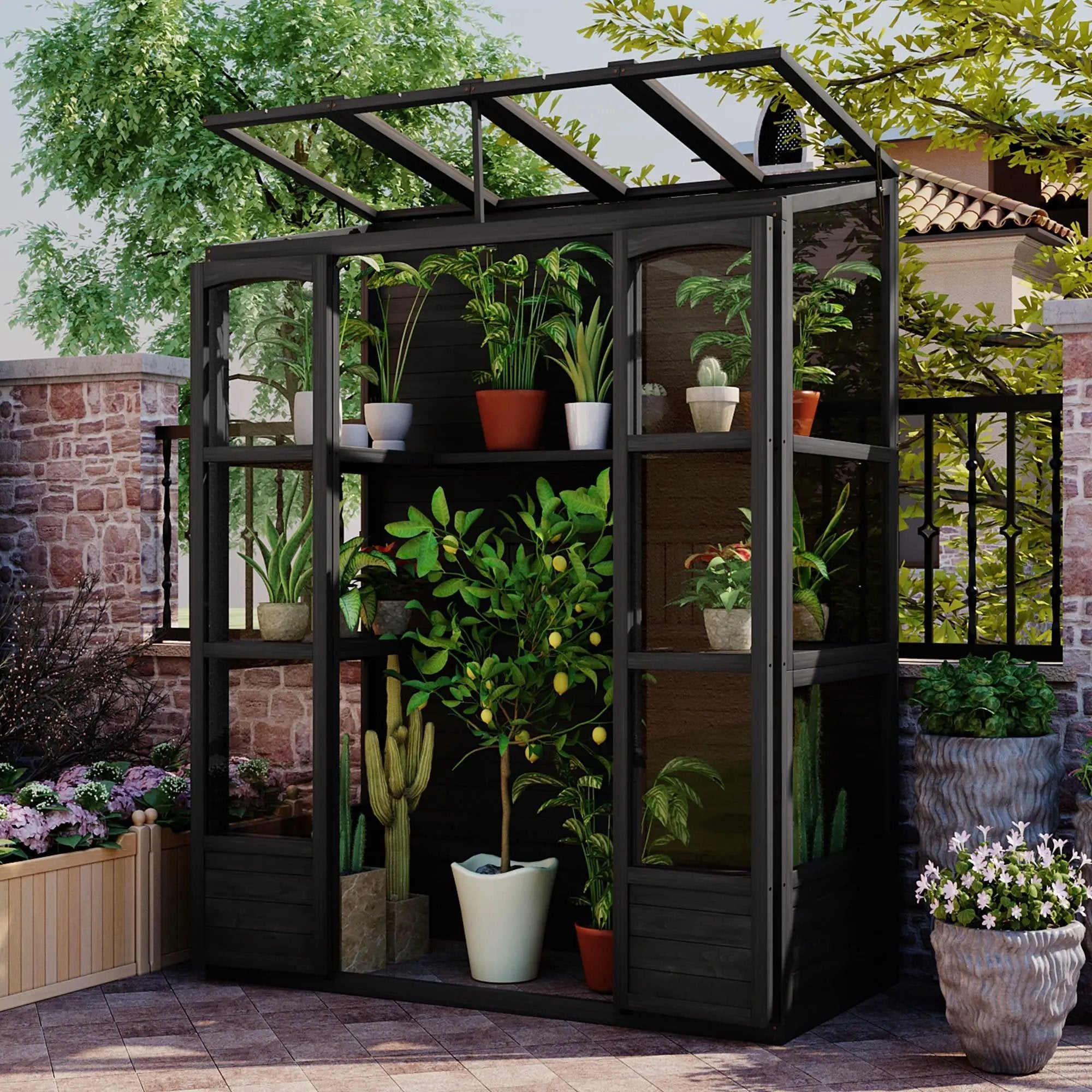 TOPMAX 78-inch Wooden Greenhouse Cold Frame with 4 Independent Skylights and 2 Folding Middle Shelves by HouseOfZazla