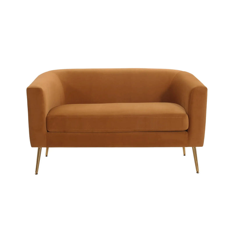 Modern Elegant Design Style Loveseat by HouseOfZazla