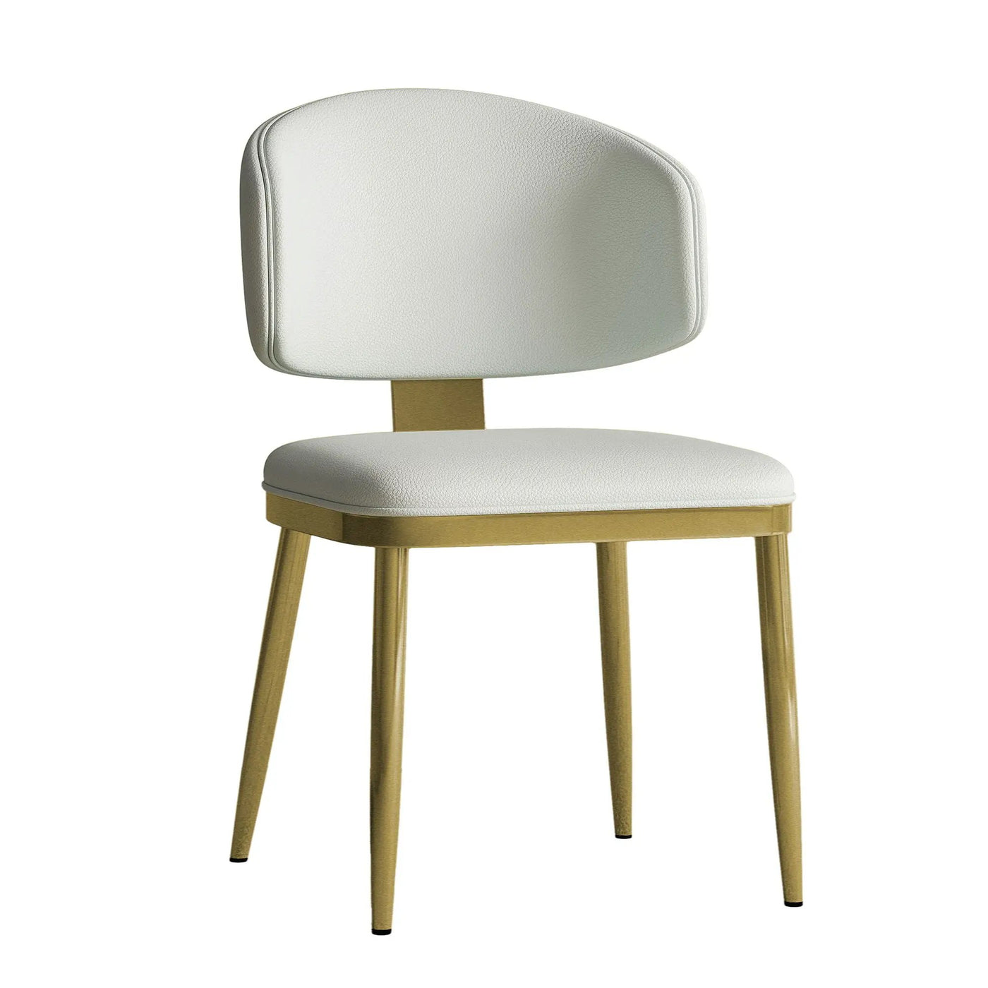 Modern Dining Chairs For Kitchen (Set of 2) by HouseOfZazla