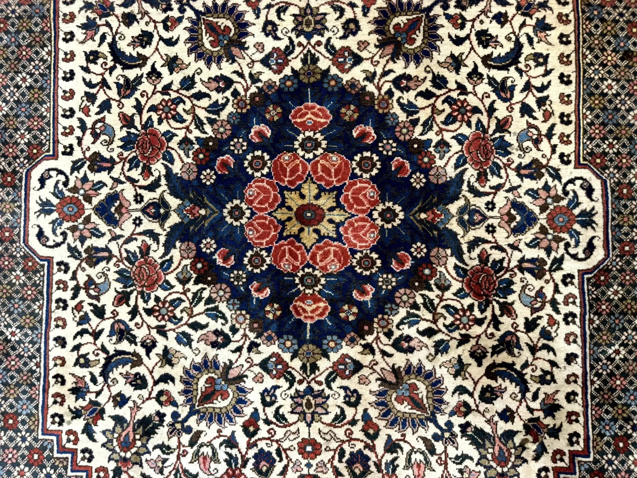 Persian Rug 7x10, Bakhtiari Saman Rug, Unique Design and Colors, Ivory Red Blue, Large Tribal Rug by Jewel Rugs