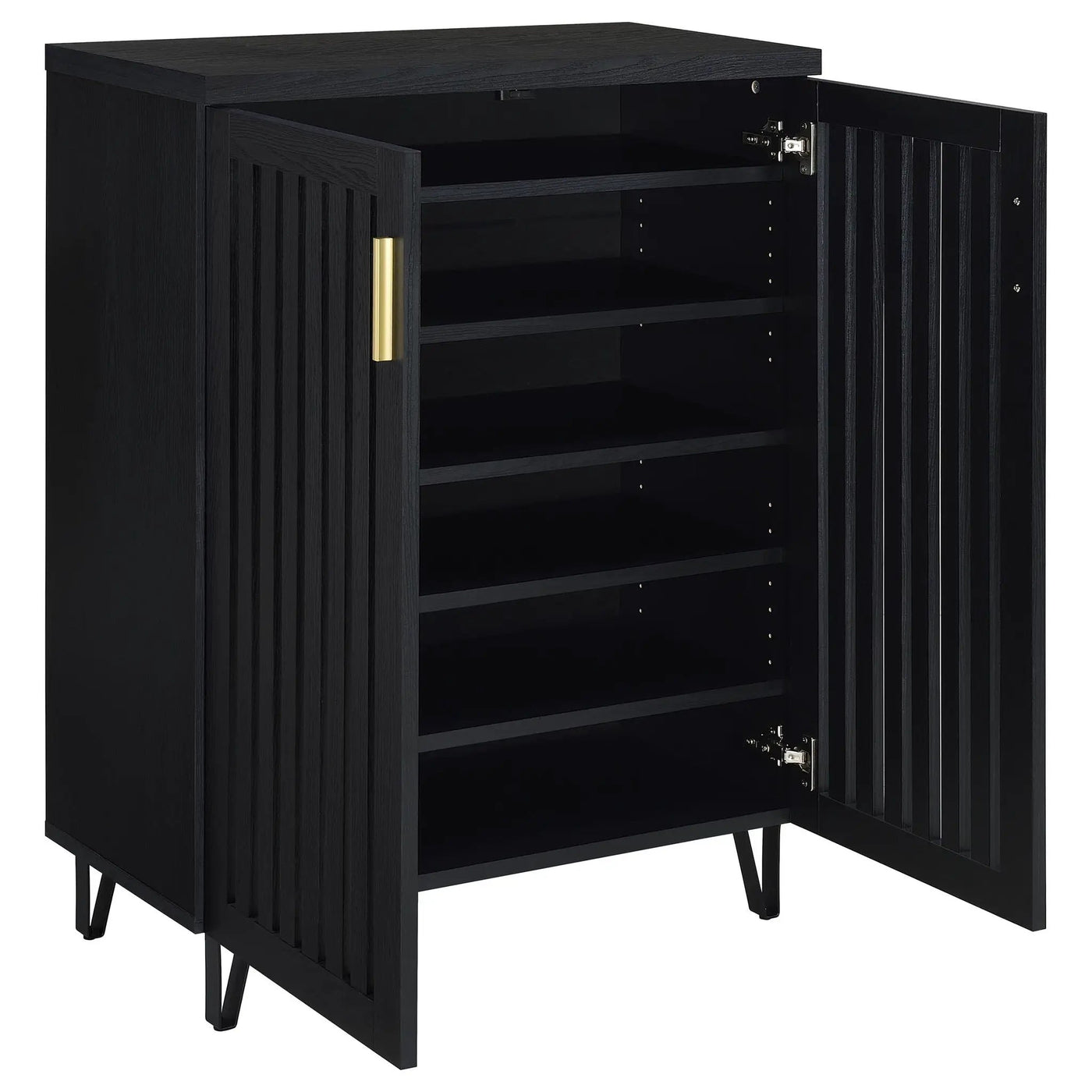 Clackamas - 2 Door Storage Cabinet With Adjustable Shelves by HouseOfZazla