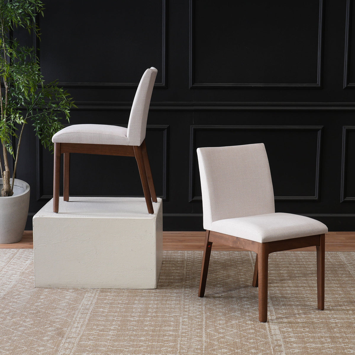 Set of 2 Contemporary Dining Chairs, photo 2 of 10